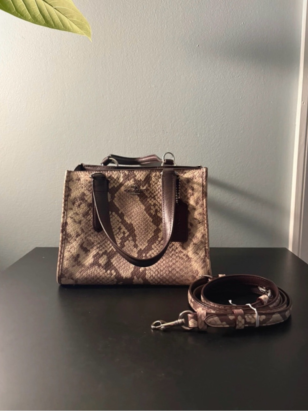 Small Coach Purse with Snake-Pattern